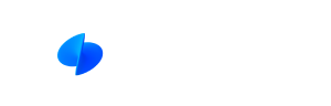 Toss Pay